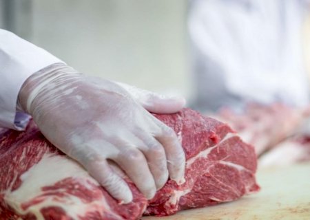 Com queda no abate de bovinos, pecuária tem produtividade recorde em 2021