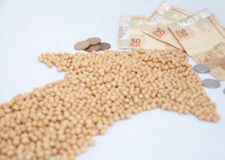 Preços da soja sobem em quase todas as praças em dia de poucos negócios