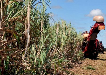 Conab reduz estimativa para produção de grãos da safra 2021/2022