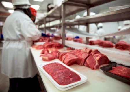 China vai importar menos carne suína e mais bovina
