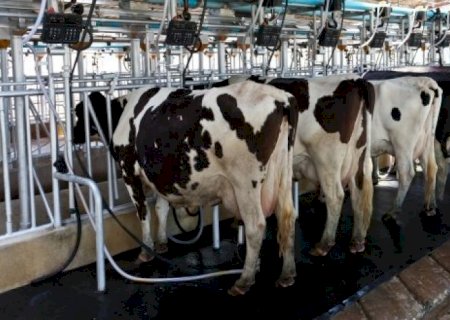 Leite/Cepea: Preço pago ao produtor sobe 3% em março