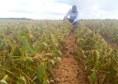 Governo publica MP que destina R$ 1,2 bi a produtores afetados pela seca