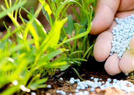 Novos insumos ajudam a reduzir dependência de fertilizantes minerais