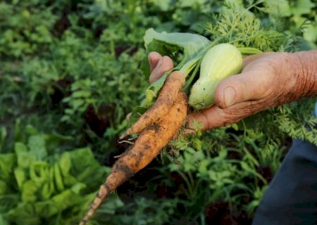 Brasil terá crédito de US$ 1,2 bi para projetos agrícolas