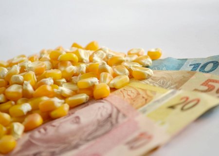 Comissão da Câmara adia votação sobre crédito adicional do Plano Safra