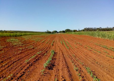 Governo adia votação sobre ajuda a produtores afetados pela seca; Daoud critica decisão