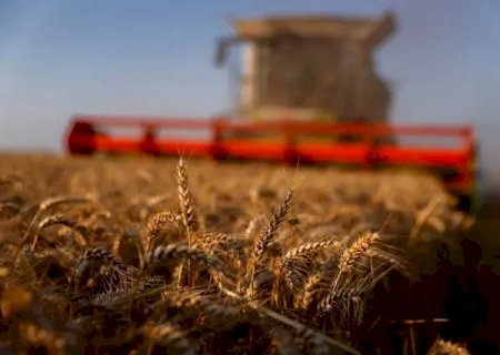 Como o agro quer contornar crise com as sanções à Rússia