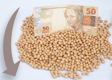Soja: lentidão e preços fracos no Brasil marcam início da semana