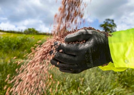 Países árabes querem ampliar exportação de fertilizantes para Brasil
