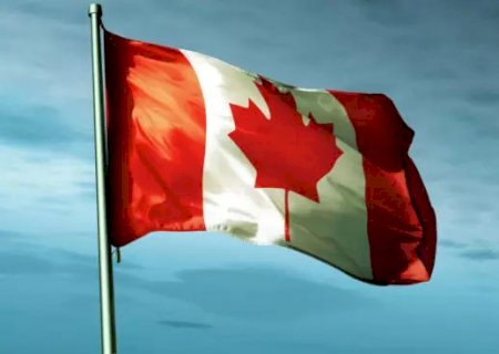 Canadá vai importar a carne brasileira, excelente notícia!