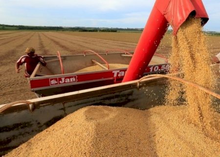 Ipea revisa para baixo previsão do PIB do agro por quebra na soja
