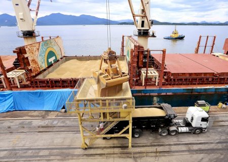 Exportação de soja brasileira cresce 260% no primeiro bimestre de 2022