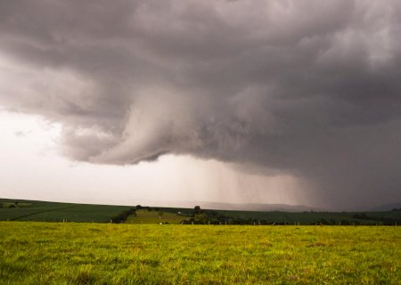 Chuva com mais de 100 mm anima produtores de milho em MS e PR