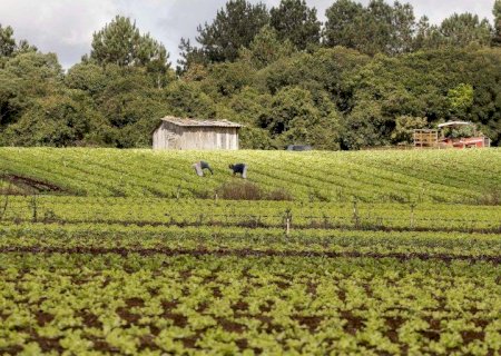 Contag apresenta 60 propostas para agricultura familiar no Plano Safra 2022/23