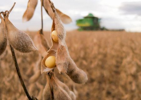 Colheita da soja atinge 87,2% no Brasil
