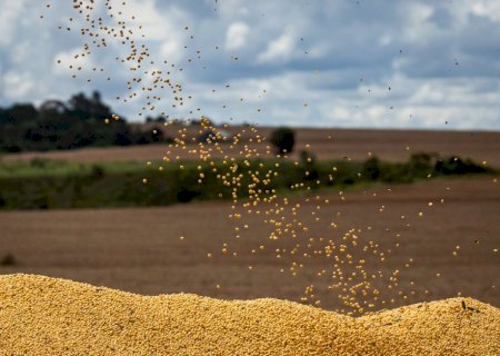 Em meio a guerra, preço de fertilizantes aumenta 39% em Mato Grosso do Sul
