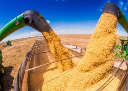 Embrapa e Fundação Meridional, lança as primeiras cultivares de soja
