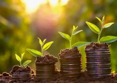 Congresso Nacional aprova PLN de crédito para Plano Safra