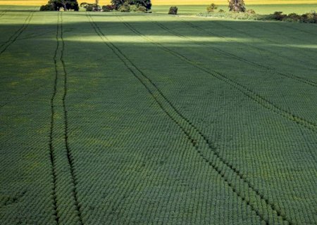Valor da Produção Agropecuária deve chegar a R$ 1,227 trilhão este ano