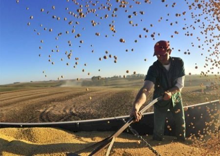 Brasil já é reconhecido como potência agrícola e alimentar, diz Guedes