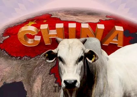 Urgente: China suspende novos frigoríficos brasileiros