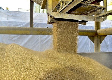 Soja: Brasil deve embarcar até 12 milhões de toneladas em abril