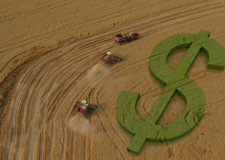 Estimativa de crédito rural para próxima safra não atende necessidade do setor