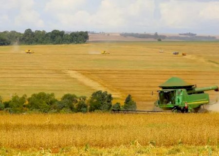 Rei da Soja? China aumenta em 25,8% sua produção