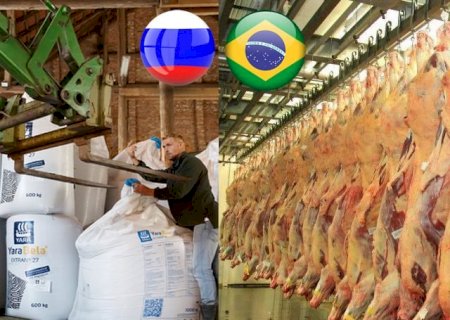 Fertilizantes: Rússia quer se aliar ao Brasil; Confira!