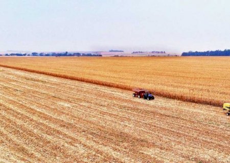 MS já detém 10% das exportações brasileiras de carne e dribla perdas do agro com tecnologia