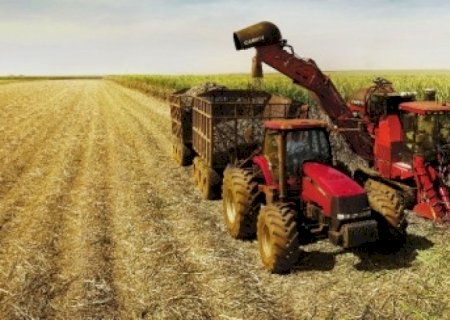 Safra de cana 2021/22 termina com queda de 14% na moagem