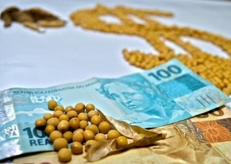 Preços da soja no mercado interno têm pouca variação nesta terça-feira