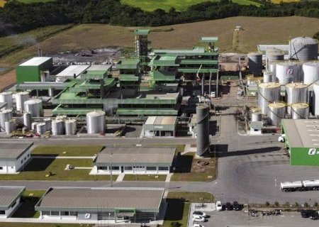 Biodiesel: interrupção na mistura obrigatória é um desastre para o setor, diz Ubrabio