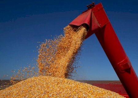 Oferta de milho no Brasil deve superar 124 mi de toneladas em 2022