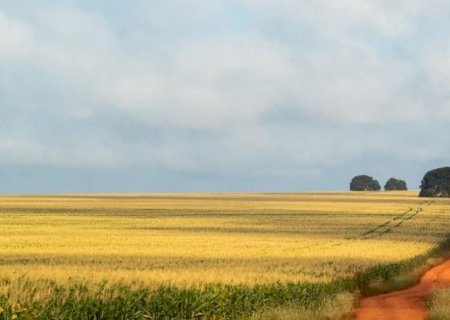 Ipea: Agronegócio tem superávit de US$ 43,7 bilhões no acumulado de 2022