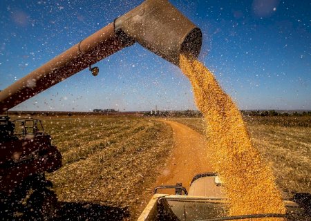 ABPA está preocupada com PL que revoga direito ao crédito presumido de agroindústrias