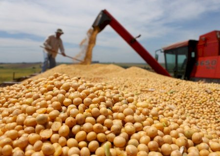 Preços da soja permanecem firmes no Brasil