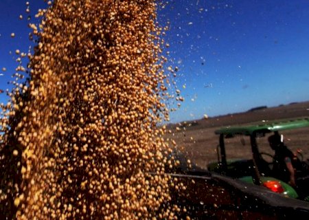 Colheita da soja atinge 95,5% da área; oito estados já concluíram trabalhos