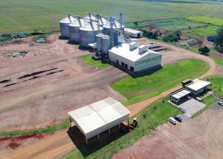 Milho é um dos principais produtos do agronegócio brasileiro