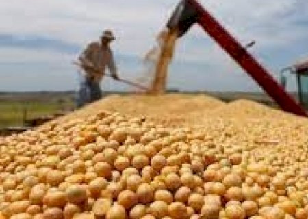 Exportação de soja cai 28% em abril, mas preço alto impulsiona receita