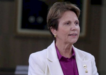 Bolsonaro deve sancionar crédito suplementar para o Plano Safra nesta quarta-feira, diz Tereza Cristina