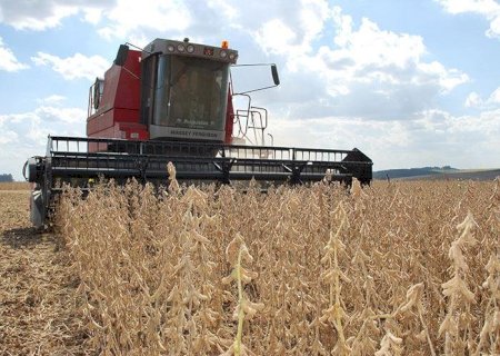 Colheita da safra brasileira 2021/22 de soja atinge 97,3%