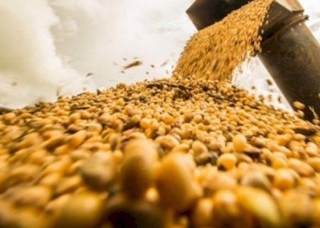 Safra de soja poderá atingir 149 milhões de toneladas em 2023