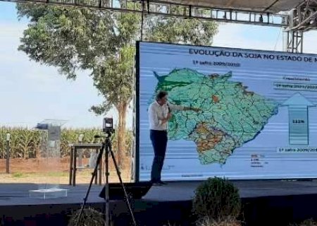 Área plantada por soja em MS deve aumentar 22% em três anos