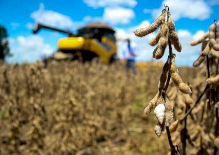 Em Mato Grosso do Sul, exportações cresceram 22% nos 4 primeiros meses do ano