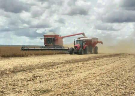 Colheita da soja está em 93,8% da área; cinco estados finalizaram trabalhos