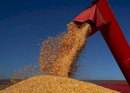 Estoque de produtos agrícolas cresce 31% na comparação anual e chega a 36,7 milhões de toneladas