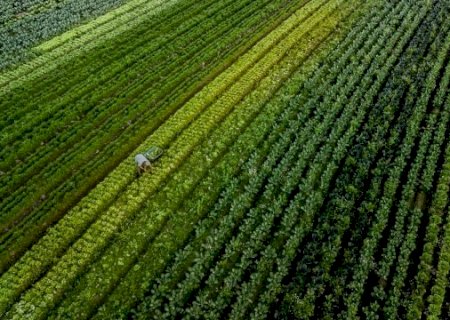 Lançado o primeiro Fiagro exclusivamente de terras brasileiras