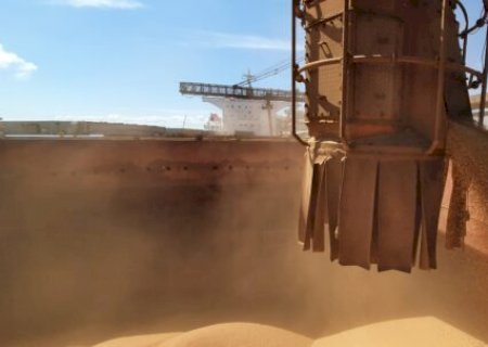 Agropecuária puxa exportações, mesmo com queda na produção de soja