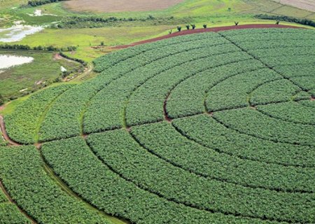 Senado aprova MP que aumenta garantias para setor agro captar recursos